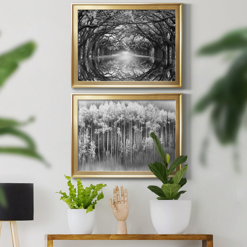 Oak Alley Reflection - reproduction de photo sur toile encadrée, H 22,5 po x l 61 po x P 1,5 po, Or, Blanc