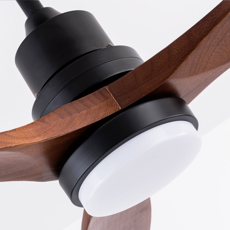 Hot Sales 72 Inch Modern Black Ceiling Fan With Light 3 Solid Wood Blades Remote Control Reversible DC Motor With Dimmable LED