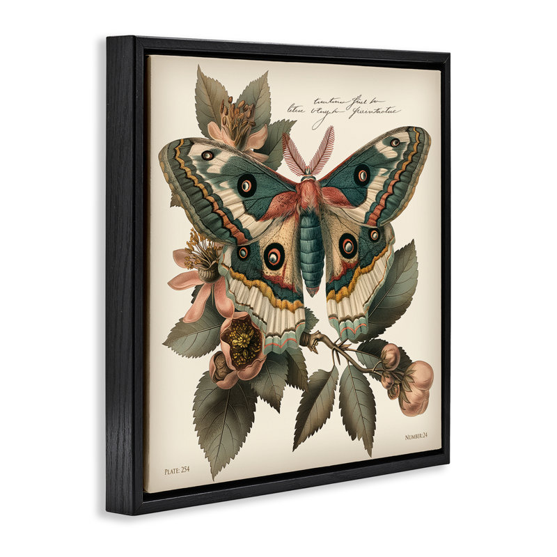 Art mural sur toile flottant vert à motif papillon de nuit par Steve Huntziker, Cadre flottant noir de jais