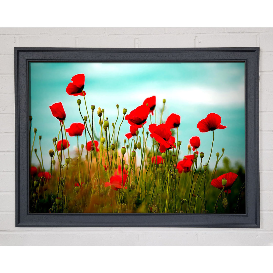 Beautiful Poppy Field Skies - Einzelner Bilderrahmen Kunstdrucke