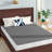 Bernadette 4" Metal Box Spring-751985291-737713654