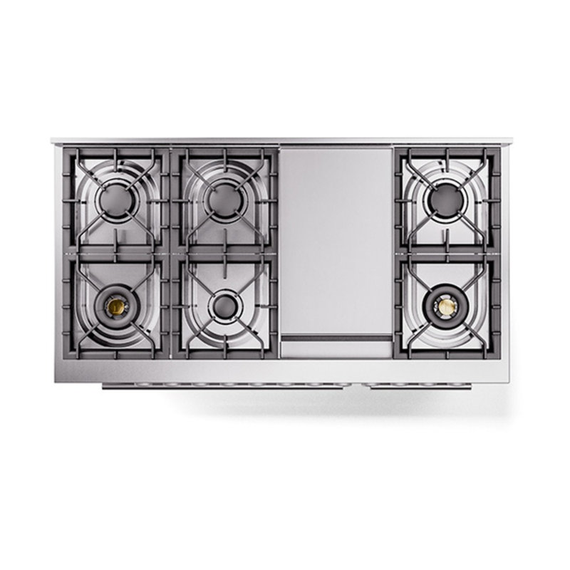 ILVE Professional Plus II 48 cuisinière à double combustible, 8 brûleurs scellés, plaque chauffante (RAL), Couleur RAL
