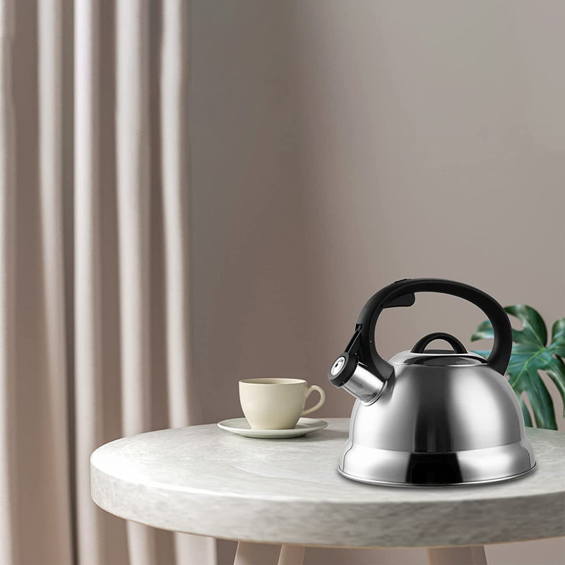 Creative Home 2,3 pte Théière en acier inoxydable avec poignée ergonomique, finition satinée