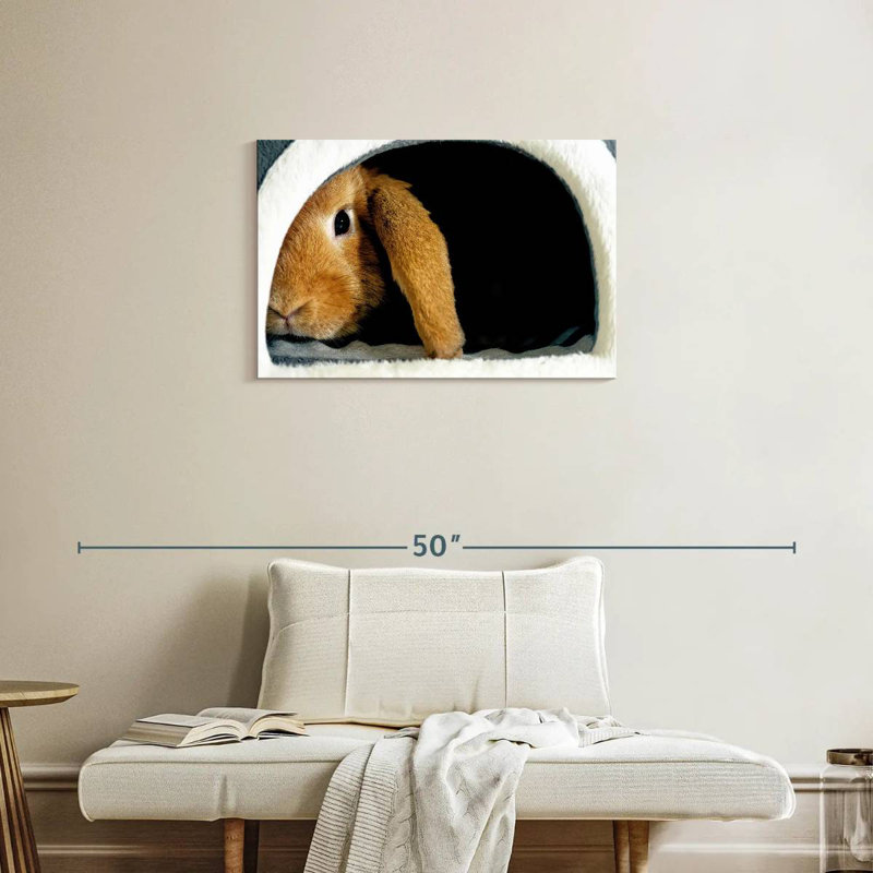 Brampt Rabbit Home, H 20 po x l 30 po