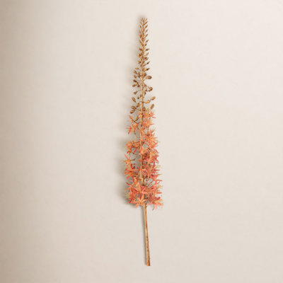 Eremurus Arrangement