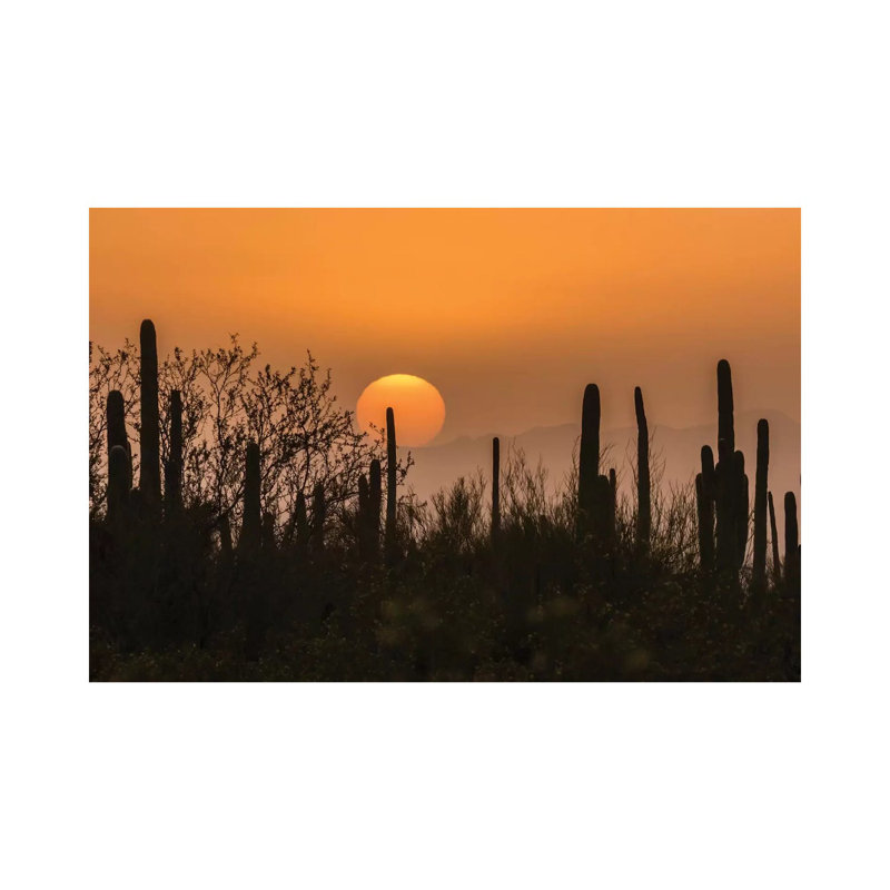 USA, Arizona, Saguaro National Park. Saguaro cactus at sunset. 1 Piece Wrapped Canvas Wall Art