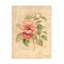 Œuvre d'art sur toile boliné Danhui Nai Floral III-105629105