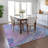  Machine Washable Indoor/Outdoor Chayden ACN1061 Rug-1545083337