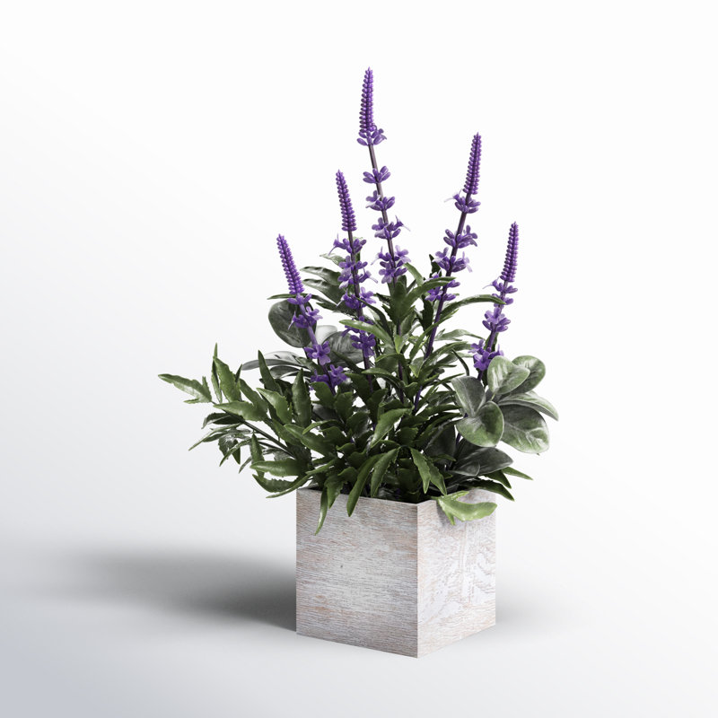 Arrangement floral lavande en pot