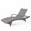 Chaise longue d'extérieur (ensemble de 2)