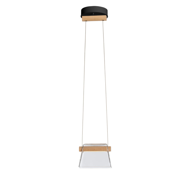 Luminaire suspendu 1 lumière DEL Cowbell, Verre transparent, Noir