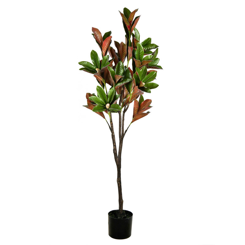 Artificial Green Magnolia Tree in Pot, 72" H x 10" W x 18" D