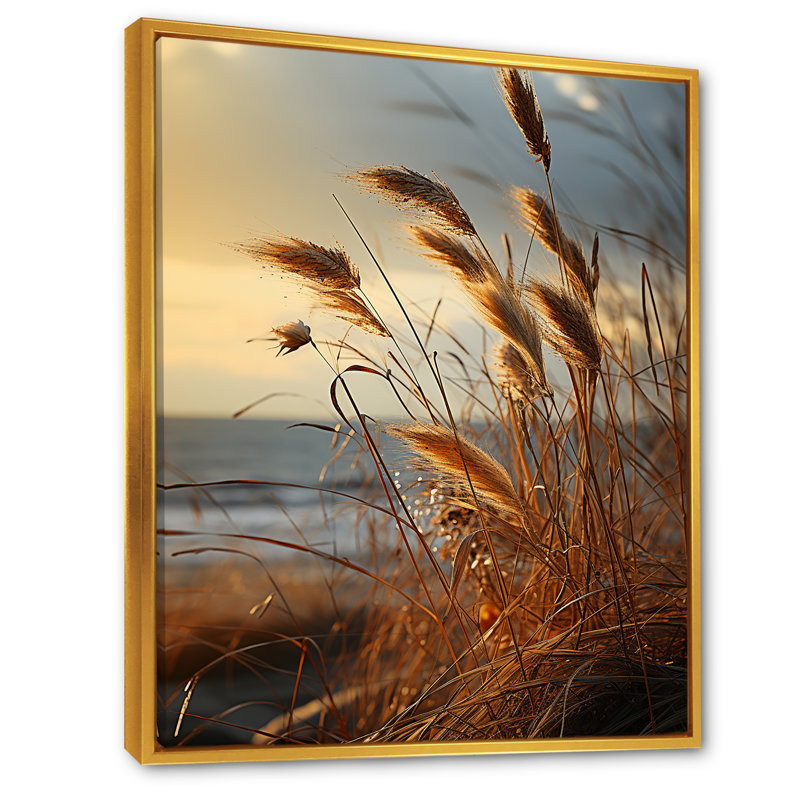 Beachgrass Sunset Nature Herbs - impression, Cadre flottant doré, H 40 po x l 30 po x P 1,5 po