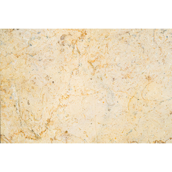Sahara Gold Honed 12" x 12" Marble Stone Look Wall & Floor Tile