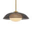  Luminaire suspendu Jace