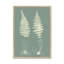 Ferns On Sage VI by Vision Studio - Painting-1284253357-1284253353