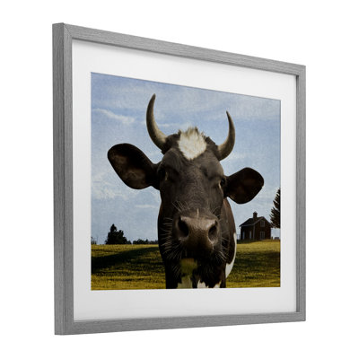 Farm Cow with Curved Horns Framed Print Under Glass, design by Marcus Prime