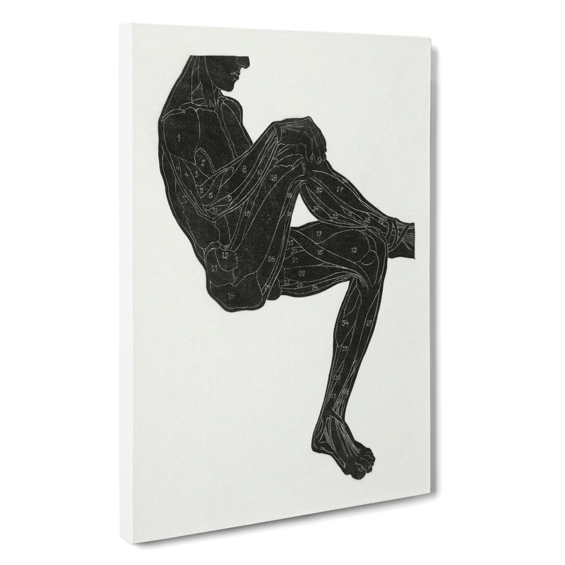 CAN5301CAN Anatomical Study Of A Man Vol.15 by Reijer Stolk - Wrapped Canvas Painting, 35cm H x 35cm W x 3cm D