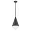 Luminaire suspendu simple à 1 lumière Gilroy-641378986