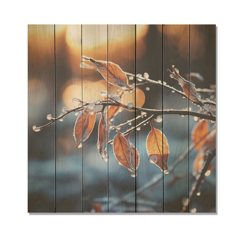 Frosted Leaves Winter Serenade II - Fruits On Wood Print, 25" H x 25" W