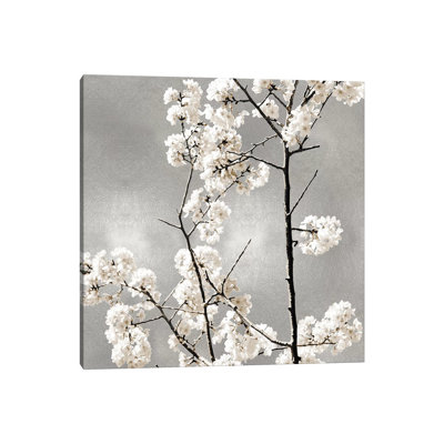 Silver Blossoms II by Kate Bennett - Wrapped Canvas Print