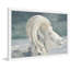 Parvez Taj - Single Picture Frame Print-19701068