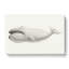 Bowhead Whale by C.M. Scammon - Wrapped Canvas-55304446