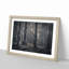 Pine Tree Forest - Picture Frame Graphic Art Print-55731971-55731967