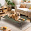 Lit pour chien surélevé avec coussins Cooler-2109079866-2109079862