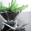 Polaris Metal Bowl