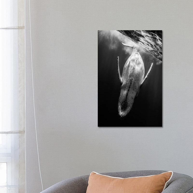 Black & Whale by Barathieu Gabriel - Wrapped Canvas Print, 66.04cm H x 45.72cm W x 1.91cm D
