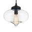 Luminaire suspendu 1 lumière Terrence-1243909841
