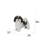 Standing Shih Tzu
