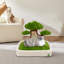 Lit pour animal en velours Daymein