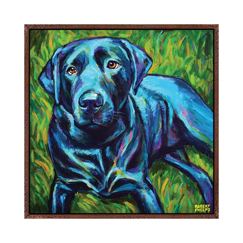 Black Lab On The Grass by Robert Phelps - Painting on Canvas, Classic Brown Wood Framed, 66.04cm H x 66.04cm W x 3.81cm D