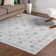 Tilghman Chenille Indoor Rug