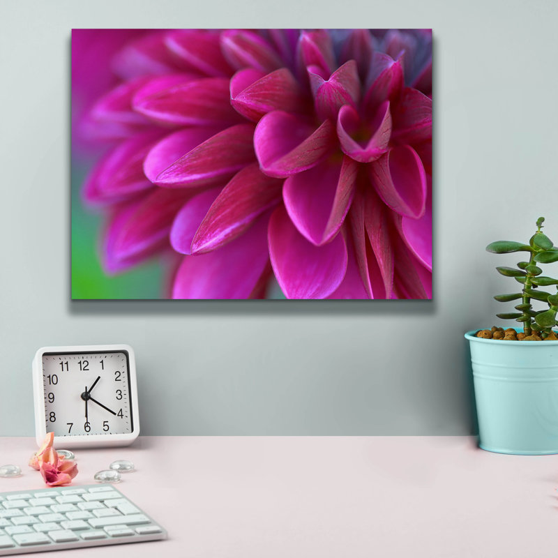 «Pink Chrysanthemum» par Photoinc Studio, art mural sur toile, 16 po x 12 po, H 12 po x l 16 po x P 0,75 po