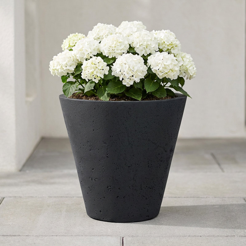 Pot à fleurs rond en plastique Doherty, Noir