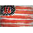 Cincinnati Bengals