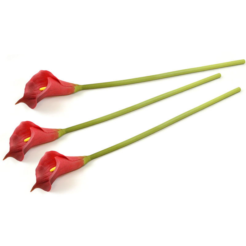 Tige de lilies fleur