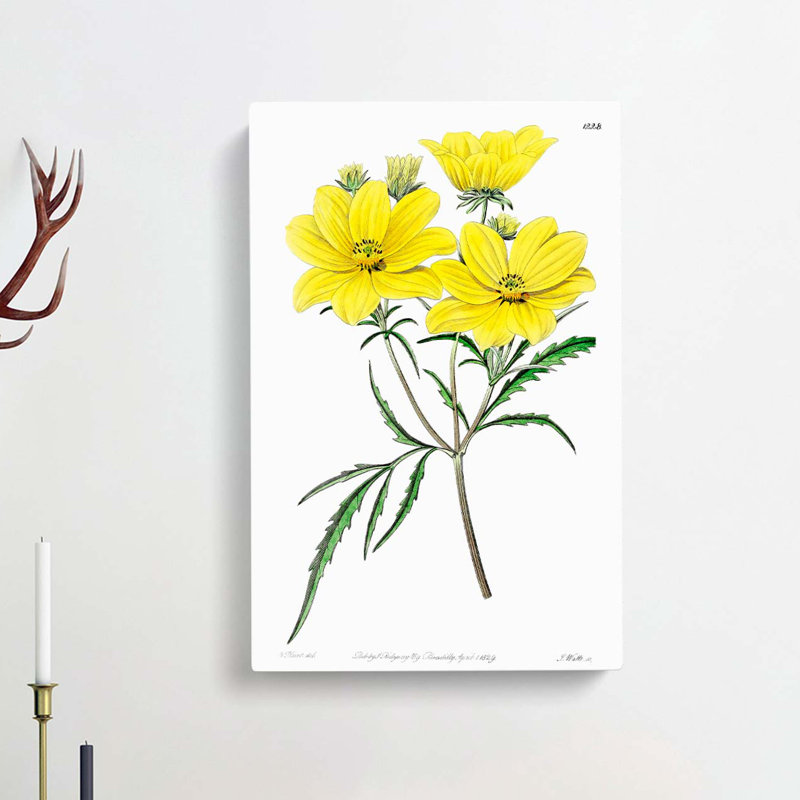 Yellow Tickseed Flowers - Wrapped Canvas Painting, 60cm H x 40cm W x 3cm D