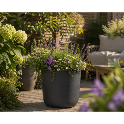 Ashley Round Egg Planter, Concrete Effect, Indoor and Outdoor Round Plant Pot with Drainage Hole