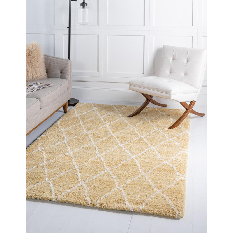 Paquette Trellis Shag Area Rug, Rectangle 122 x 183cm