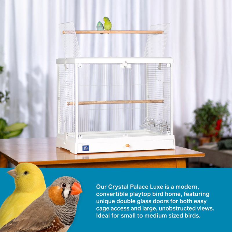 Birdcage with Tray and Ezekiella Tray, Blanc