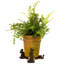 Yordana Stone Weather Resistant Planter Feet