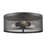 Alyria Steel Flush Mount-26707771-26707770