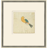 Dove - SM. Mennonite Ledger Drawing Print by Soicher Marin Archives