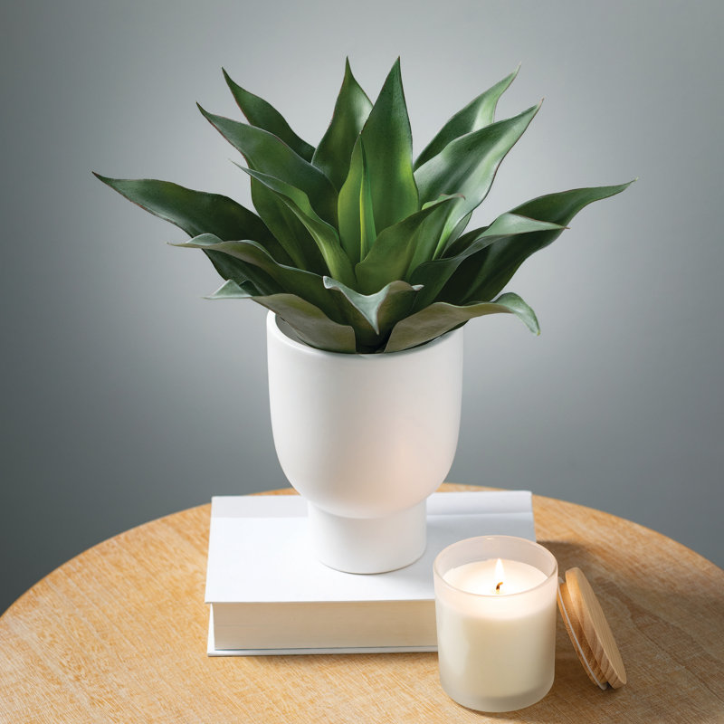 Plante succulent artificielle 10,5"