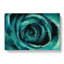 A Teal Rose In Abstract - Wrapped Canvas Painting-55368241