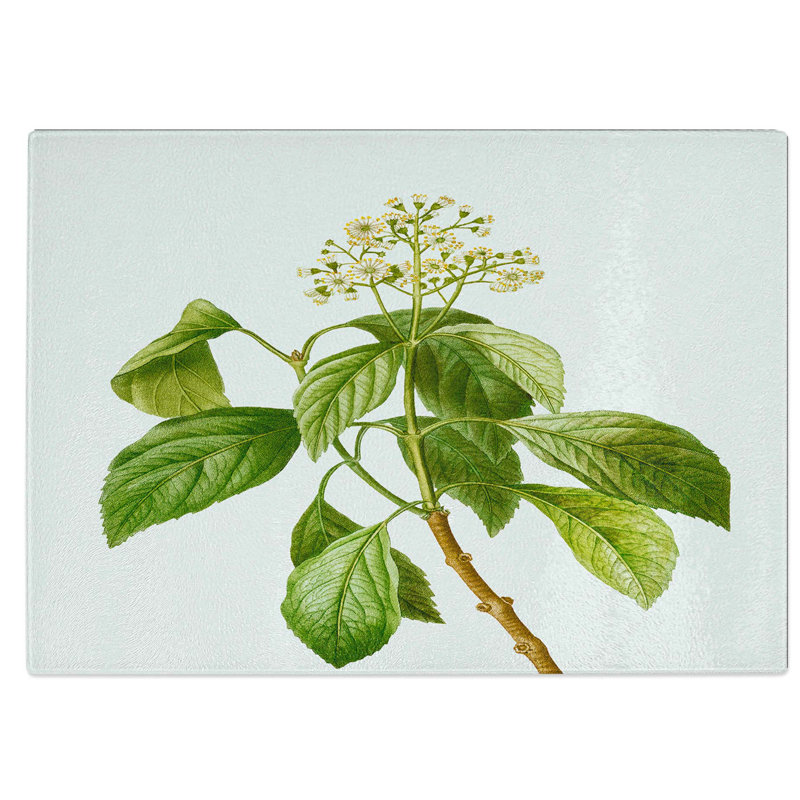 Tempered Glass Climbing Hydrangea Chopping Board, 28.5 cm W x 20 cm L